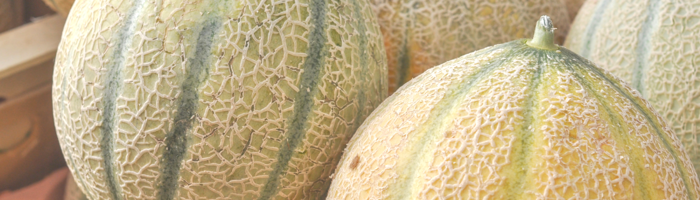 Centrofrutta