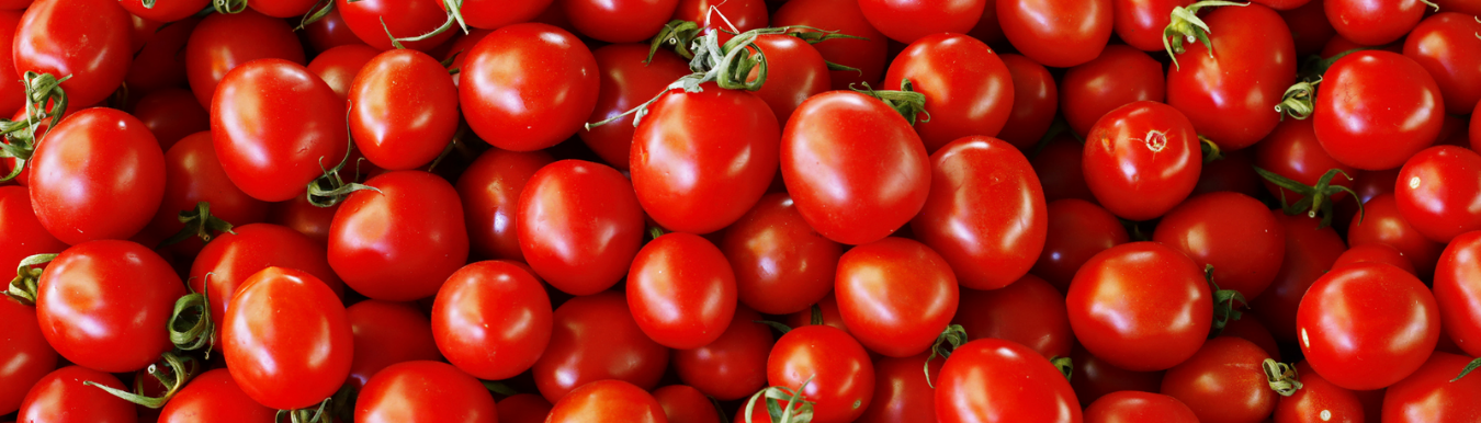 Centrofrutta