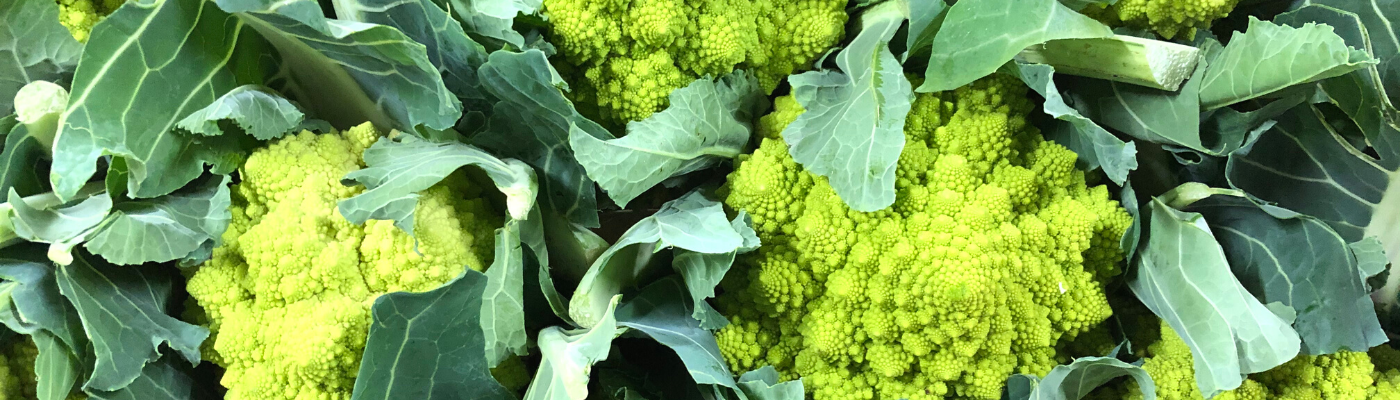 Centrofrutta