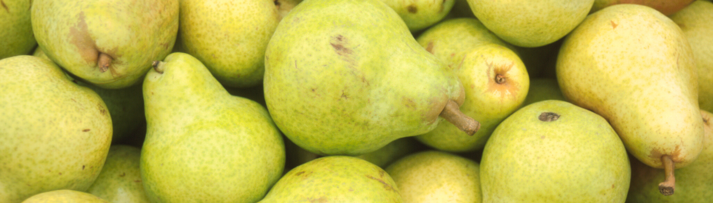 Centrofrutta