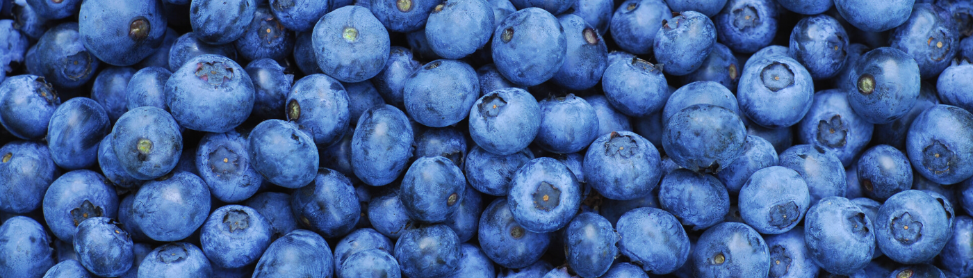 Centrofrutta