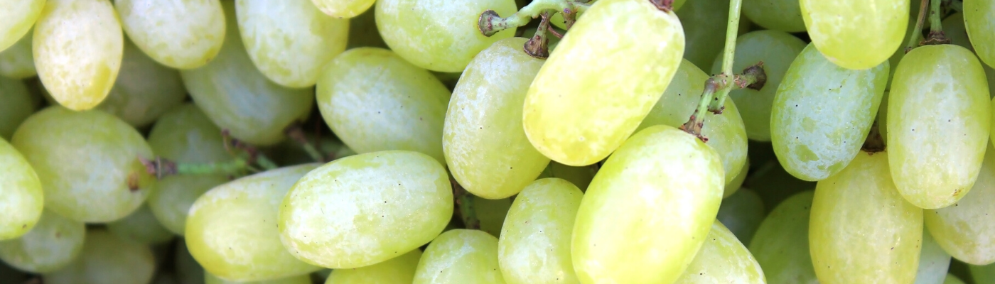 Centrofrutta
